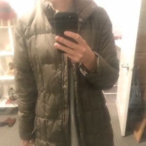 Eddie Bauer Women's Lodge Puffy